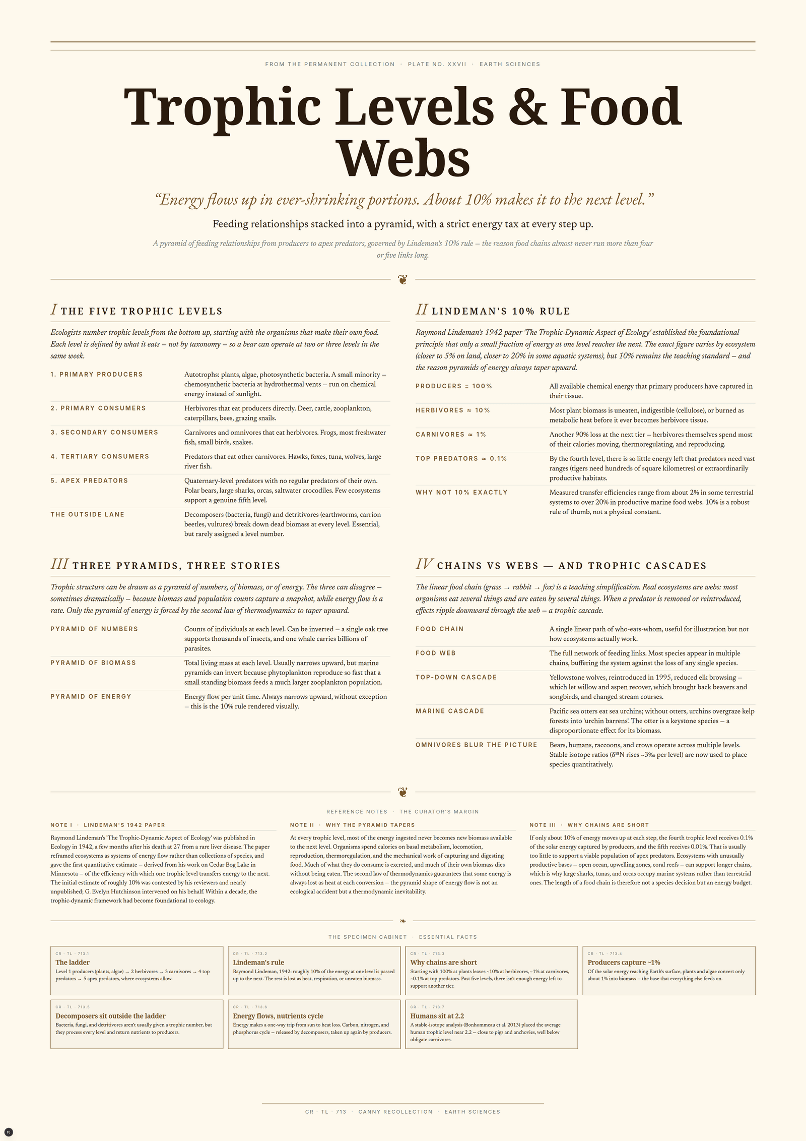 Trophic Levels & Food Webs — A3 Poster (comprehensive)
